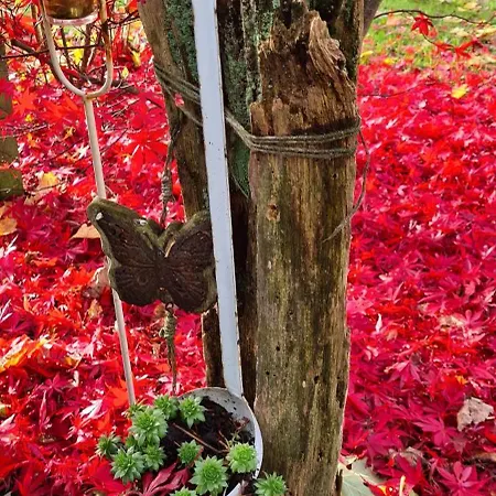 Apartmán Fewo-veronika-apen *